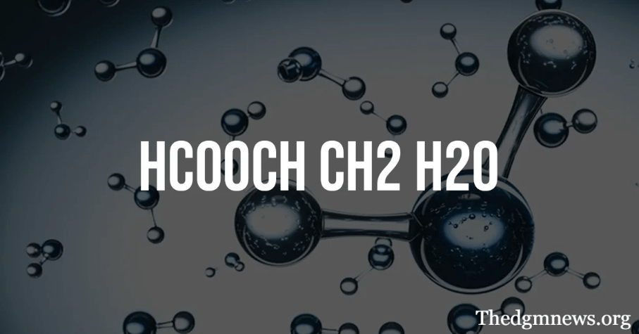HCOOCH₂H₂O A Comprehensive Guide for Professionals